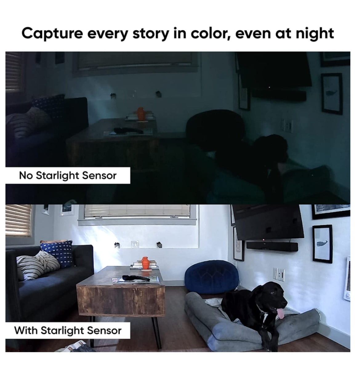 Wyze Cam Pan V2 Smart Home Camera product image 3