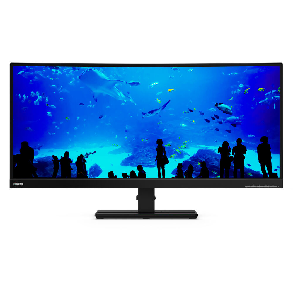 Lenovo ThinkVision T34w-20 34-inch Non-Touch Curved Monitor (61F3GAT1SA) — front view
