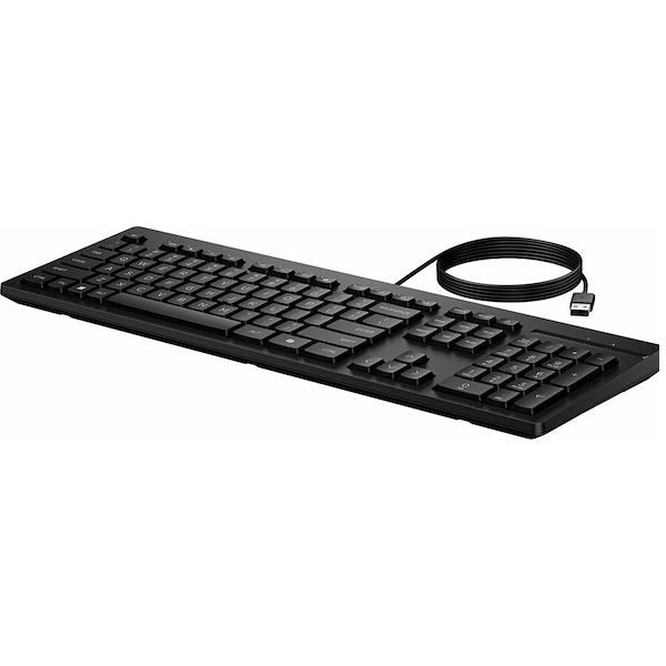 HP 125 Wired Keyboard (AY2Y7AA) — in use