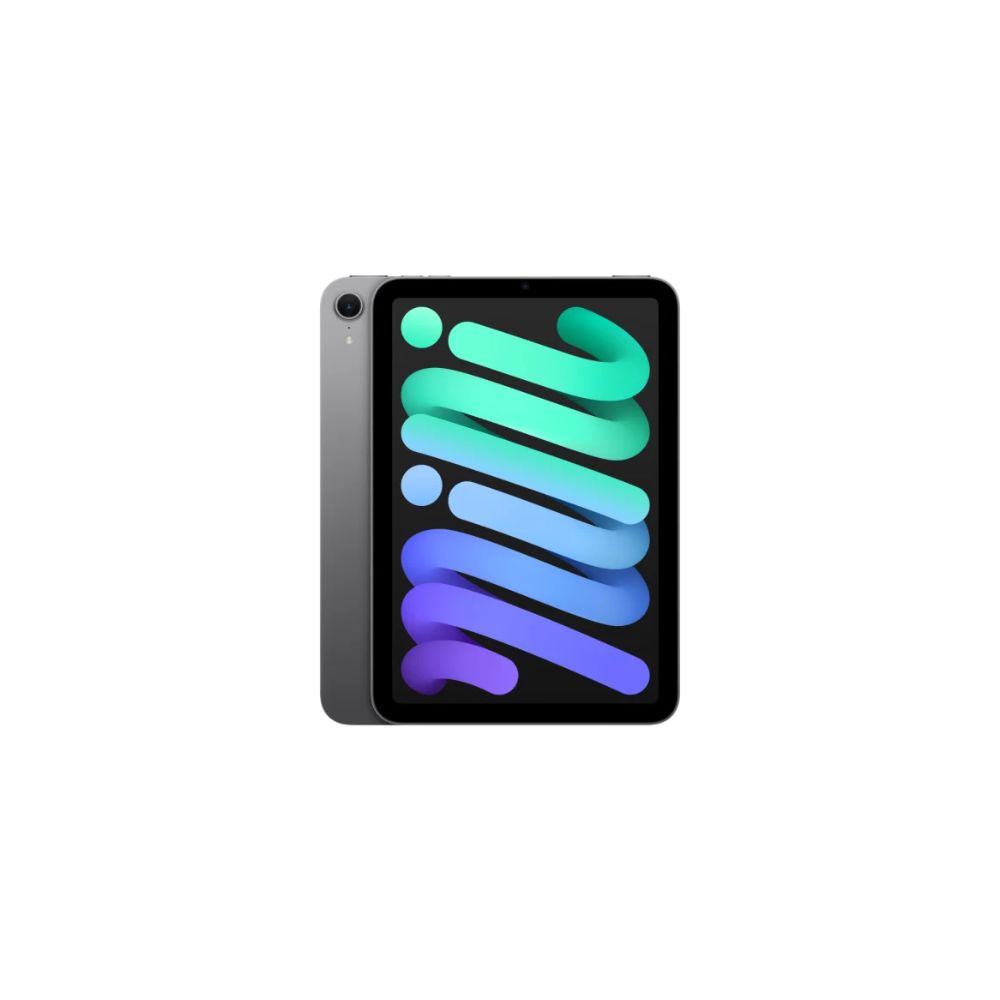 Apple iPad mini (A17 Pro) Wi-Fi 512GB - Space Grey product image 1