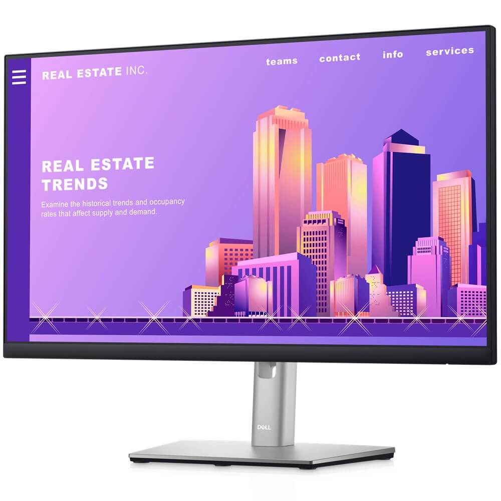 Dell P2422H 24-inch Full HD IPS LED Monitor (210-AZYX) — front view