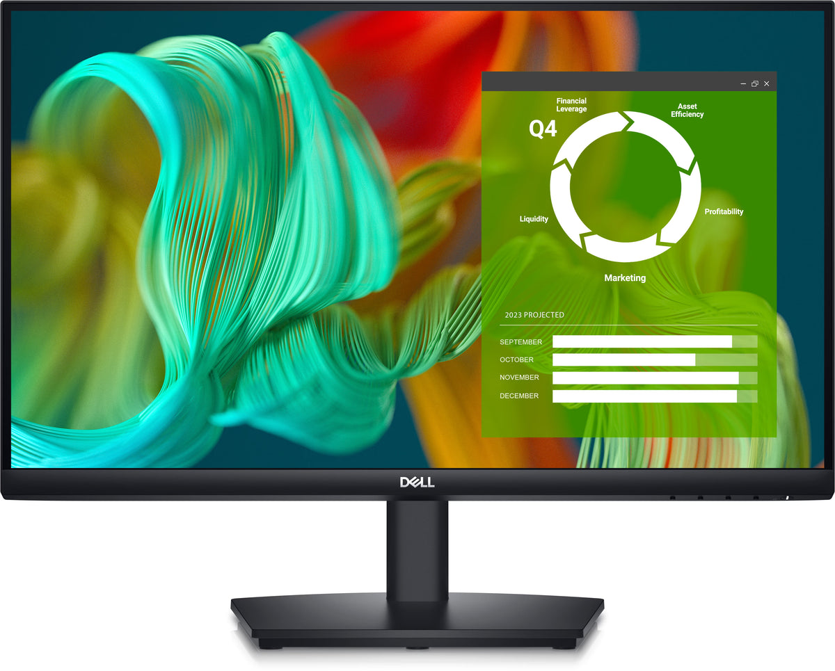 Dell E2424HS 23.8-inch Full HD LED Monitor (210-BGPJ) — rear view