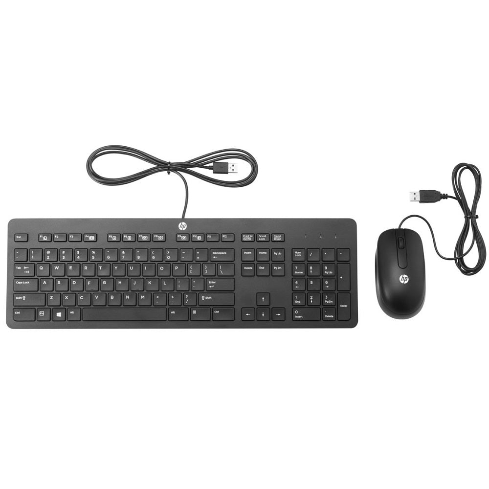 HP Slim USB Keyboard and Mouse (T6T83AA)